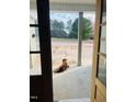 Dog sitting on front porch of new home with double doors looking out over a newly developed neighborhood street at 83 Nottoway Lane, Wendell, NC 27591
