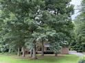 Picturesque brick home surrounded by lush trees, enhancing its curb appeal and privacy at 5512 Spring Bluffs Ln, Raleigh, NC 27606