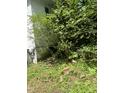 A view of the side of the home and the yard covered with lush greenery and a large bush at 652 Old Sanford Rd, Moncure, NC 27559