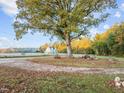 A large yard with a massive tree in the center, a field, and a view of the house at 381 Reams Dr, Middlesex, NC 27557