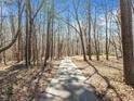 Long driveway leading through a lush forest with mature trees and dappled sunlight at 4051 Silk Hope Gum Springs Rd, Pittsboro, NC 27312