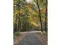 Scenic view of leaf-strewn path through trees with beautiful autumn foliage at 4051 Silk Hope Gum Springs Rd, Pittsboro, NC 27312