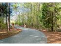 Gravel driveway winding through lush trees leading to a serene estate at 1018 Terrell Woods Ln, Chapel Hill, NC 27516