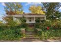 Inviting front entrance with brick steps leading to a cozy porch, surrounded by lush ivy at 219 N Richardson Ave, Nashville, NC 27856