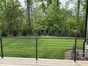 View of the back yard and wooded area from the wood deck with metal railing at 162 Lookout Rdg # 677, Pittsboro, NC 27312