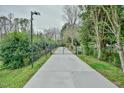 Long, private driveway leading to a secluded property, surrounded by lush greenery and trees at 4908 Birchleaf Dr, Raleigh, NC 27606