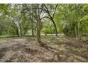 This expansive backyard boasts mature trees, providing ample shade at 915 E Holly St, Rocky Mount, NC 27801