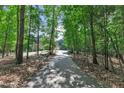 Long driveway leading to a contemporary home surrounded by lush greenery, offering privacy at 295 Cedar Rock Trl, Fuquay Varina, NC 27526