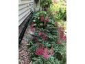 Picturesque landscaping showcasing vibrant pink flowers along the foundation at 4401 Sprague Rd, Raleigh, NC 27613