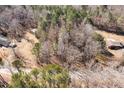 An aerial view of the property showcases dense trees and a long, winding paved driveway at 10611 Quail Roost Rd, Bahama, NC 27503