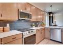 Modern kitchen featuring stainless steel appliances and elegant countertops at 135 Baneberry Dr, Broadway, NC 27505