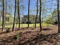 A vast backyard featuring large trees creating a nature filled landscape at 429 Teague St, Wake Forest, NC 27587