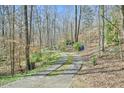 Long driveway leading to the home, bordered by trees and foliage in a private setting at 703 Caswell Rd, Chapel Hill, NC 27514