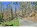 Long driveway leading to the home, bordered by trees and foliage and the house number posted on the mailbox at 703 Caswell Rd, Chapel Hill, NC 27514