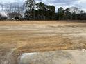 Expansive backyard with potential for landscaping and outdoor living at 30 Olivia Crossing Ct, Smithfield, NC 27577