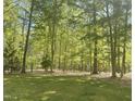 Spacious backyard with lush greenery, mature trees, and plenty of space for outdoor activities at 613 Hamecon Place, Cedar Grove, NC 27231