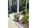 Relaxing front porch with wicker chairs, surrounded by lush greenery and colorful potted plants at 110 Gulley Glen Dr, Garner, NC 27529