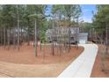 Beautiful home surrounded by towering trees, featuring a long driveway and attached garage at 170 Pine Cone Loop, Pittsboro, NC 27312
