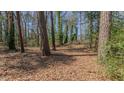 A wooded backyard with mature trees and natural foliage at 126 Radcliff Cir, Durham, NC 27713