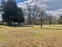 Large backyard featuring a grassy yard and mature trees creating a private setting at 1111 Spring Valley Lake Rd, Henderson, NC 27537