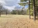 Open grass backyard with sparse pine straw and natural surroundings at 1111 Spring Valley Lake Rd, Henderson, NC 27537