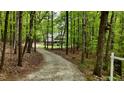 A home is nestled in the woods, seen from the long driveway leading to the house at 1013 Traders Trl, Wake Forest, NC 27587