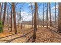 Wooded backyard showcasing mature trees and natural landscape at 2602 Vintage Hill Ct, Durham, NC 27712