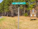 Street sign marking Lower Thrift Rd next to Jordan Game Land at 422 Lower Thrift Rd, New Hill, NC 27562