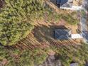 Aerial view of a private home surrounded by a dense forest at 10405 Hamish Dr, Zebulon, NC 27597