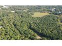 The aerial view features dense woodland surrounding a grassy meadow, promising natural beauty and privacy at 4030 Granite Ridge Trl, Raleigh, NC 27616