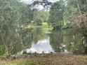 Scenic view of a serene pond surrounded by lush greenery and trees at 182 Tree Cutters, Sanford, NC 27332