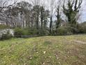 View of backyard, partially covered with grass and leaves with a tree line behind a fence at 200 Rand Mill Rd, Garner, NC 27529