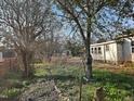 Overgrown backyard with trees, grass, and building in the distance at 306 Martin Luther King Jr Dr, Smithfield, NC 27577