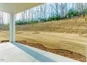 A backyard with newly laid lawn sod leading into an undeveloped hillside and tree line at 201 Bluffwood Avenue, Chapel Hill, NC 27516