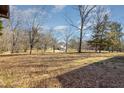 Expansive backyard with mature trees, offering privacy and a serene view of the property at 5315 Cole Mill Rd, Durham, NC 27705