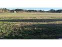 Expansive land and meadow, perfect for building your dream home or investment property at 30 Jamestown Ct Ct, Zebulon, NC 27597