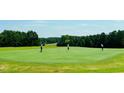 Picturesque golf course scene with golfers, green turf, trees, and clear blue sky for recreational enjoyment at 105 Olde Liberty Dr, Youngsville, NC 27596