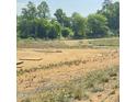 Cleared property lot exhibiting its spaciousness and natural surroundings at 410 Hopewell Branch Ct, Smithfield, NC 27577