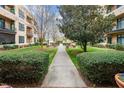 Paved path between the condo buildings, lined with lush greenery and mature trees in a well-maintained courtyard at 300 Finsbury # 115, Durham, NC 27703