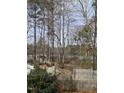Backyard view with distant water and some trees at 928 Magnolia Ridge Way, Fuquay Varina, NC 27526