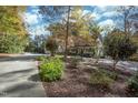 Beautiful home with a lush front yard and a long driveway, surrounded by trees at 10004 Liana Ln, Raleigh, NC 27613