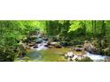 Scenic view of a creek flowing through a lush, green forest, offering a tranquil and natural setting at 140 Clear Springs Ct # 17, Pittsboro, NC 27312