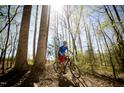 Young person riding a bike on the neighborhood nature trail with mature trees and a glimpse of blue sky at 2521 Lillian Woods Dr, Wendell, NC 27591