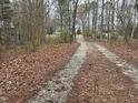 Long gravel driveway leading to a secluded home amidst beautiful trees at 5044 Allanbrooke Ln, Fuquay Varina, NC 27526
