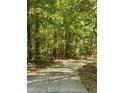 View of a secluded paved road lined by mature trees offering privacy and a peaceful setting at 4324 Old Lewis Farm Rd, Raleigh, NC 27604