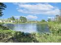 Scenic pond view surrounded by lush greenery under a blue sky with clouds at 190 Salem Village Dr, Fuquay Varina, NC 27526