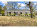 Charming single-story home with black shutters and a well-manicured lawn at 1230 Melrose Dr, Burlington, NC 27217