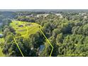 Lush green landscape with defined property lines showcasing acreage and wooded areas at 2751 Old Fairground Rd, Angier, NC 27501