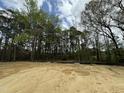 Cleared land ready for development with mature trees in the background at 740 Portland Rose Dr, Knightdale, NC 27545