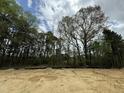 Cleared land ready for development surrounded by mature trees on a partly cloudy day at 740 Portland Rose Dr, Knightdale, NC 27545